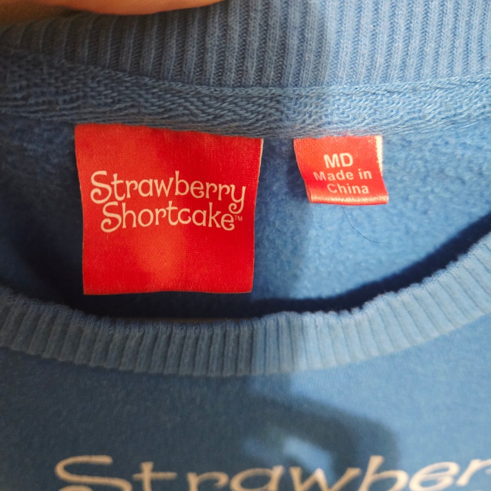 Strawberry Shortcake Graphic Sweatshirt Blue Crew Neck Sleeve Print MD - Picture 5 of 6
